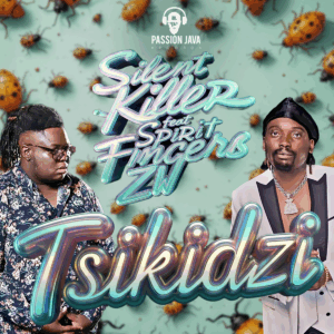 Silent Killer Ft Spirit Fingerz - Tsikidzi