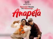 Spender Ft P Mawenge – Anapeta