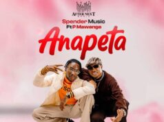 Spender Ft P Mawenge – Anapeta