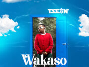 T-Sean – Wakaso Asaione T-Sean - Wakaso Asaione