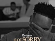 Driemo – Not Sorry