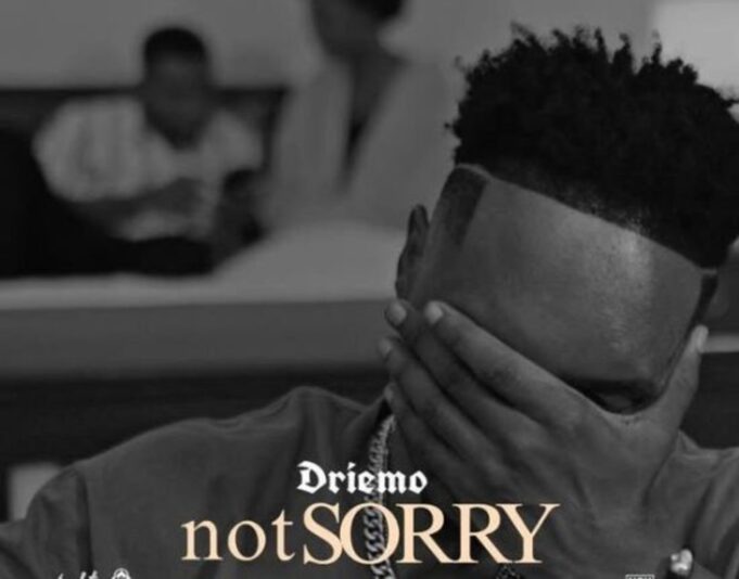 Driemo - Not Sorry
