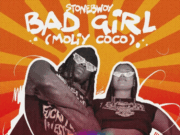 Stonebwoy Ft Bad Girl ( Moliy Coco) – Shake It To The Max (freestyle)