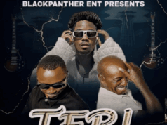 TomDee Ug Ft Dexta Rapper – TERI