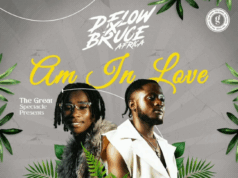 D Flow Ft Bruce Africa – Am In Love