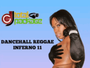 Best Of 2007 Dancehall Reggae Inferno Part 11 By Dj Total Package HD