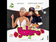 Temperature Touch Ft Nina Roz – Yolere