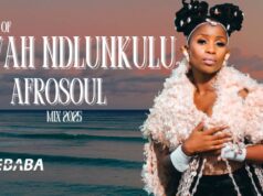 Best of AfroSoul Mix 2025 Dj Webaba – Lwah Ndlunkulu