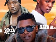 DR CHAMELEON FT FIK GAZA & NATOBOSS – HIPS BIGILI