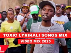 Best Of Toxic Lyrikali Mix 2025 By Dj Carlos Ft Sick,Chinje
