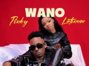 Latinum Ft Pinky – Wano