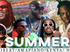 Afrobeat Summer Groove,Best of Naija Afrobeat Mix 2025 Ft Rema,Burna,Tems,Ayra,Davido