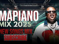 BEST AMAPIANO 2025 NEW SONGS BY VINTE SA & MALUMTOM