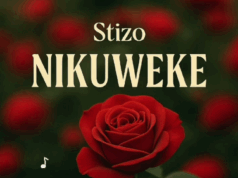 Stizo – Nikuweke