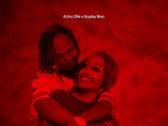 Echo 254 Ft Sophy Ron – Limeshindikana