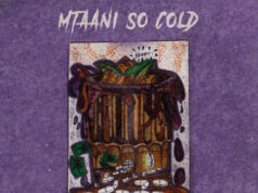 ALBUM Dwin – Mtaani so Cold