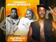 Tribby Wadi Bhozza Ft Zoli White Smoke & Smeezy On The Beat – Perebere (Mechene)