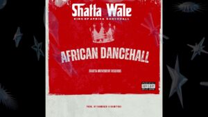 Shatta Wale - African Dancehall