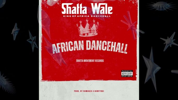 Shatta Wale - African Dancehall