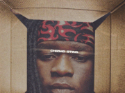 Chizmo Sting – Not For Sale Chizmo Sting - Not For Sale