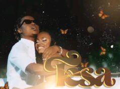 D-ONE – Tesa D-ONE - Tesa