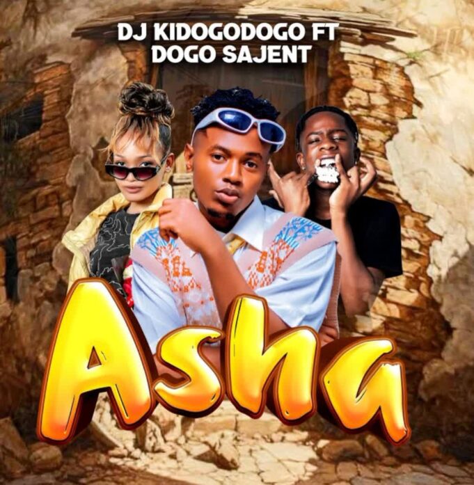 Dj Kidogodogo Ft Dogo Sajent - Asha