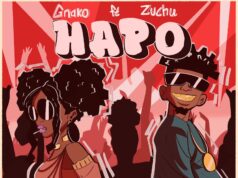G Nako Ft Zuchu – Hapo G Nako Ft Zuchu - Hapo