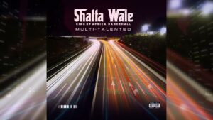 Shatta Wale - Multi talented Freestyle
