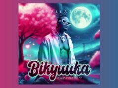 Pallaso – Bikyuuka Pallaso - Bikyuuka