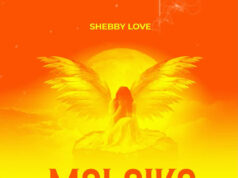 Shebby Love – Malaika Shebby Love - Malaika
