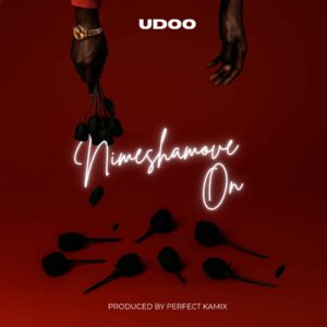 Udoo - Nimeshamove On