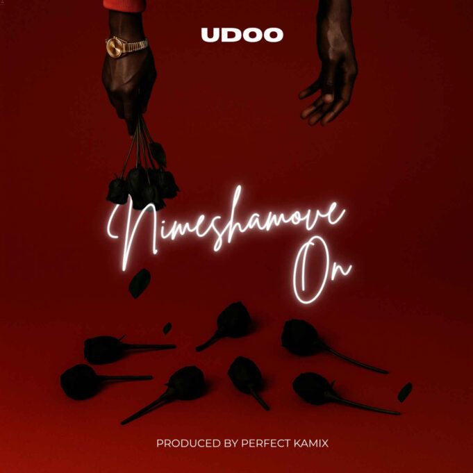 Udoo - Nimeshamove On Udoo - Nimeshamove On