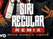 Viboyo Oweyo Ft Spice Diana – Siri Regular Viboyo Oweyo Ft Spice Diana - Siri Regular
