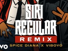 Viboyo Oweyo Ft Spice Diana – Siri Regular Viboyo Oweyo Ft Spice Diana - Siri Regular