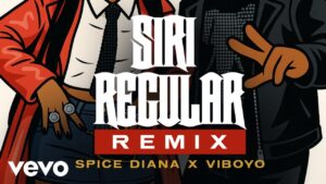 Viboyo Oweyo Ft Spice Diana - Siri Regular