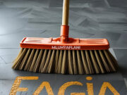 Mluhya Flani – Fagia