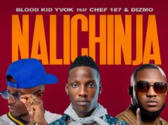 Blood Kid Yvok Ft Chef 187 & Dizmo – Nalichinja Blood Kid Yvok Ft Chef 187 & Dizmo - Nalichinja