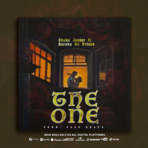 Chaba Junior Ft Baraka The Prince - The One