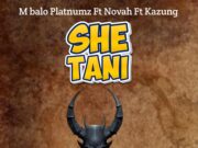 M balo Platnumz Ft Novah & Kazung – Shetani M balo Platnumz Ft Novah & Kazung - Shetani