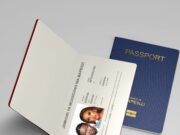 Mocco Genius – My Sugar Mocco Genius - My Sugar