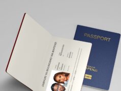 Mocco Genius – My Sugar Mocco Genius - My Sugar