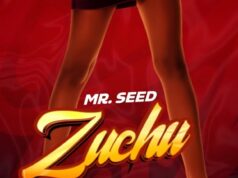 Mr Seed – Zuchu