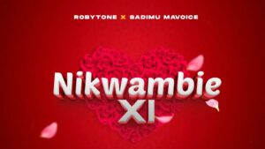 Robytone X Sadimu Mavoice - NikwambieX1