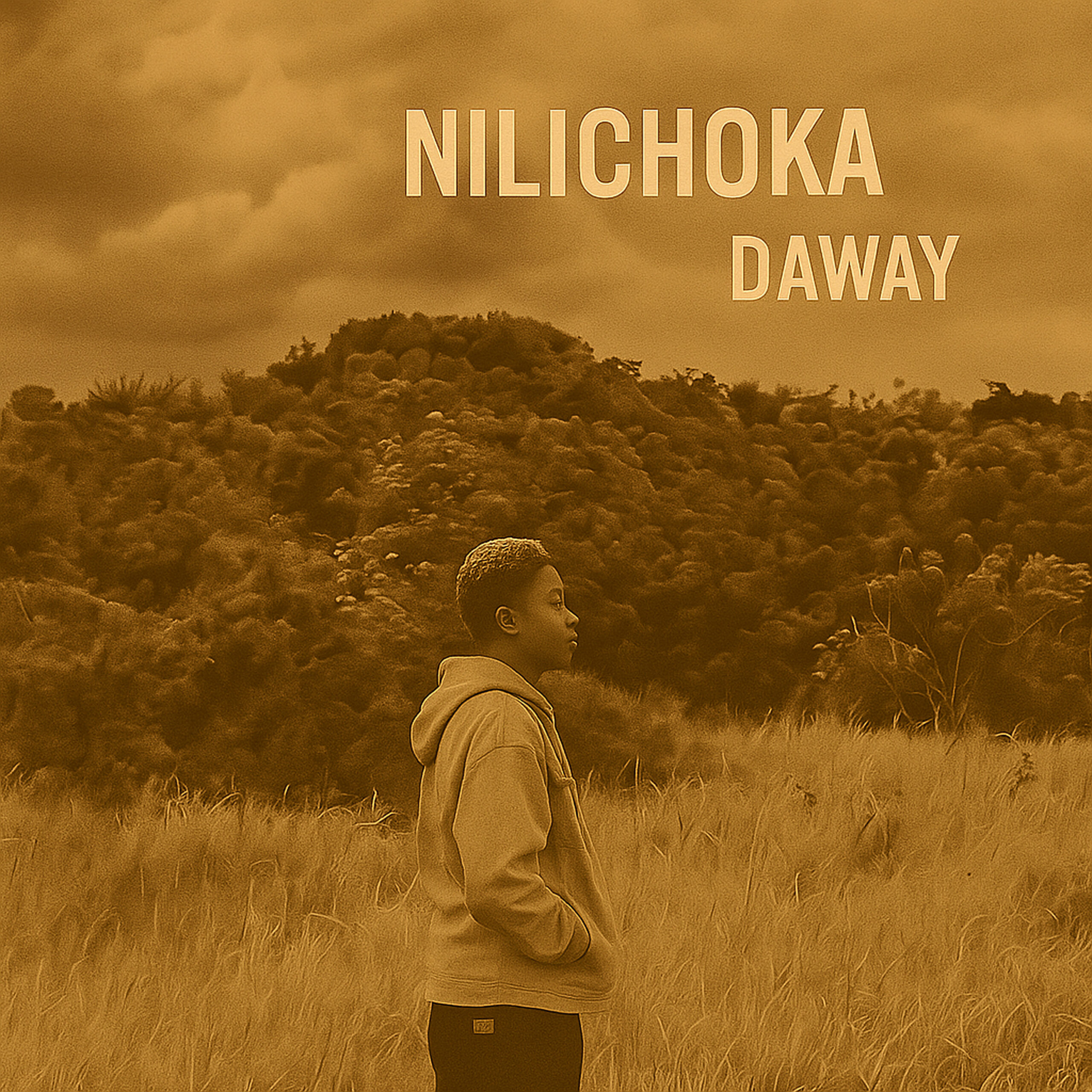 Daway - Nilichoka