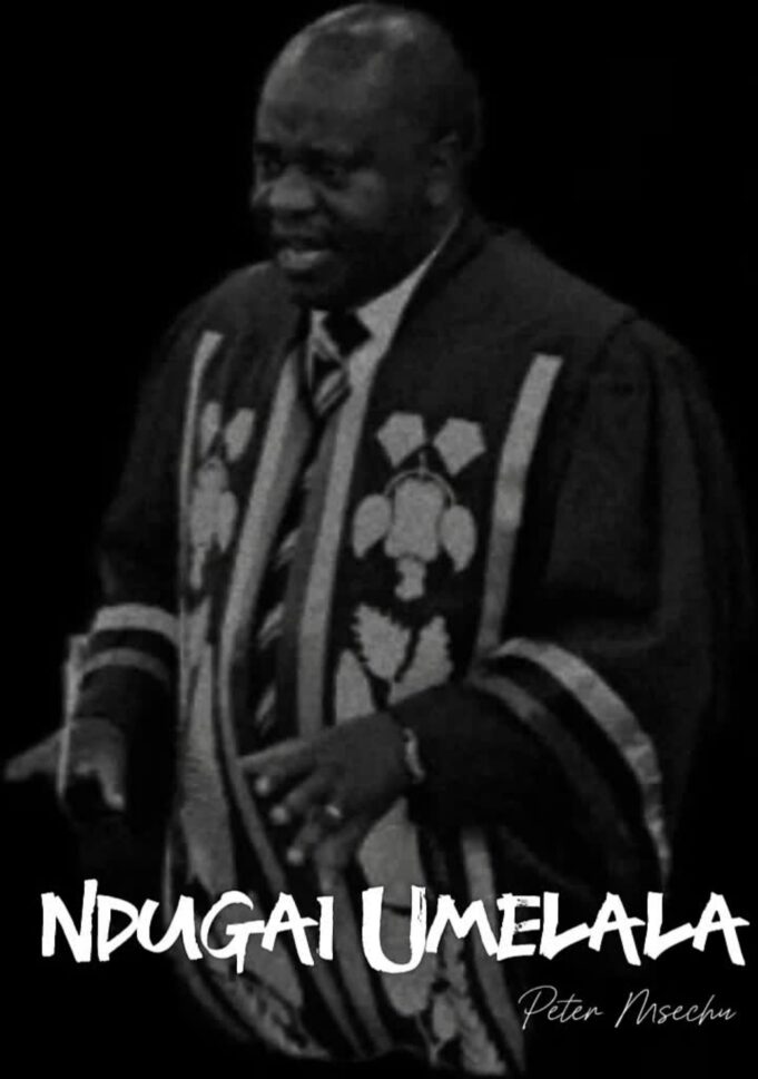 Peter Msechu - Ndugai Umelala