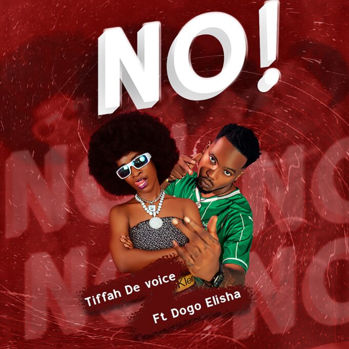 Tiffah devoice Ft Dogo Elisha - NO