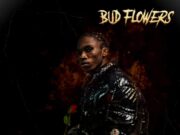 Toxic Lyrikali – Bud Flowers Toxic Lyrikali - Bud Flowers