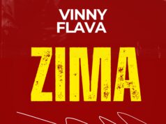 Vinny Flava – Zima Vinny Flava - Zima