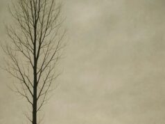 VYROOTA – TODANGA VYROOTA - TODANGA