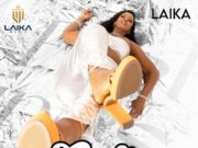 Laika – Feeling Laika - Feeling